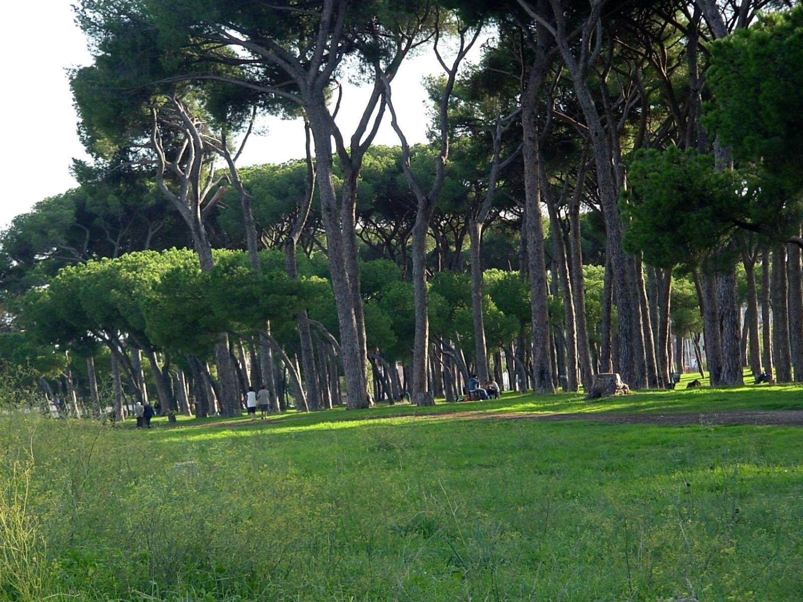 Appartamento Nearpineta Roma Esterno foto